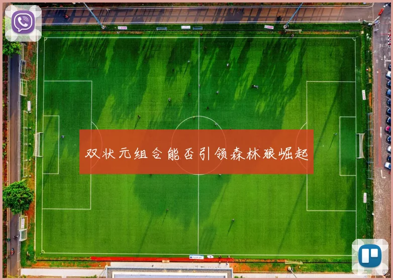 双状元组合能否引领森林狼崛起