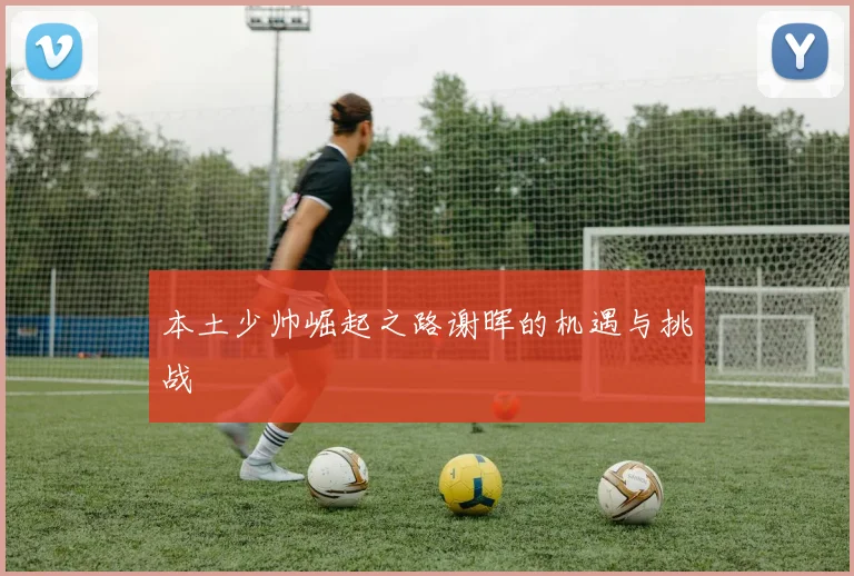 本土少帅崛起之路谢晖的机遇与挑战
