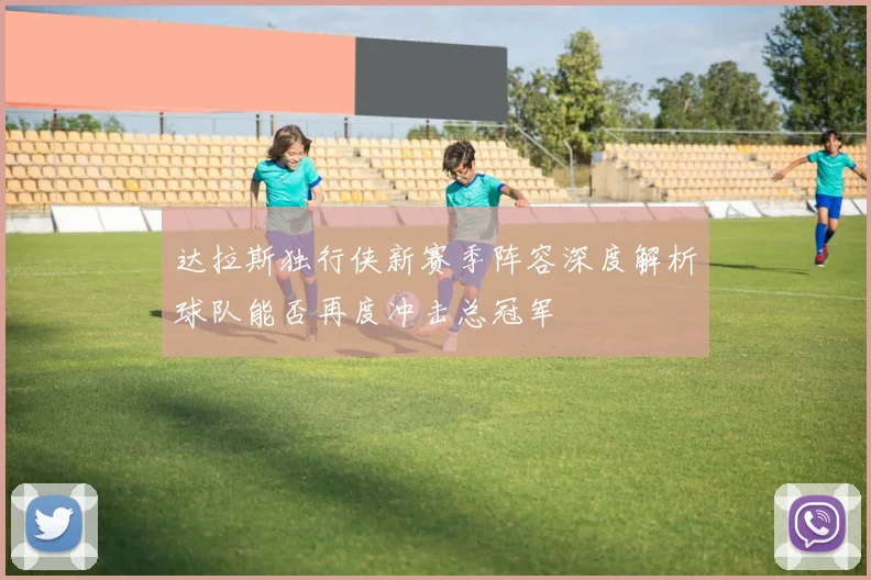 达拉斯独行侠新赛季阵容深度解析球队能否再度冲击总冠军