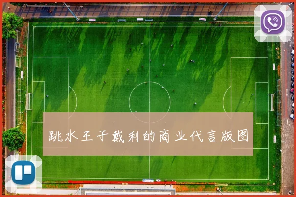 跳水王子戴利的商业代言版图