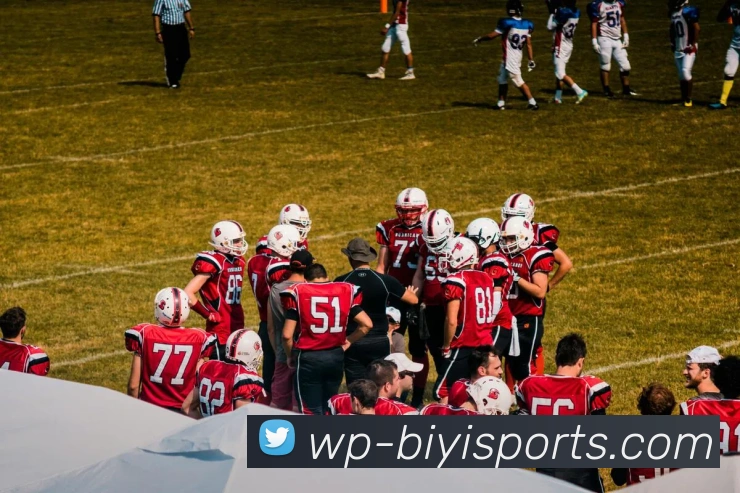 必一体育发展历程